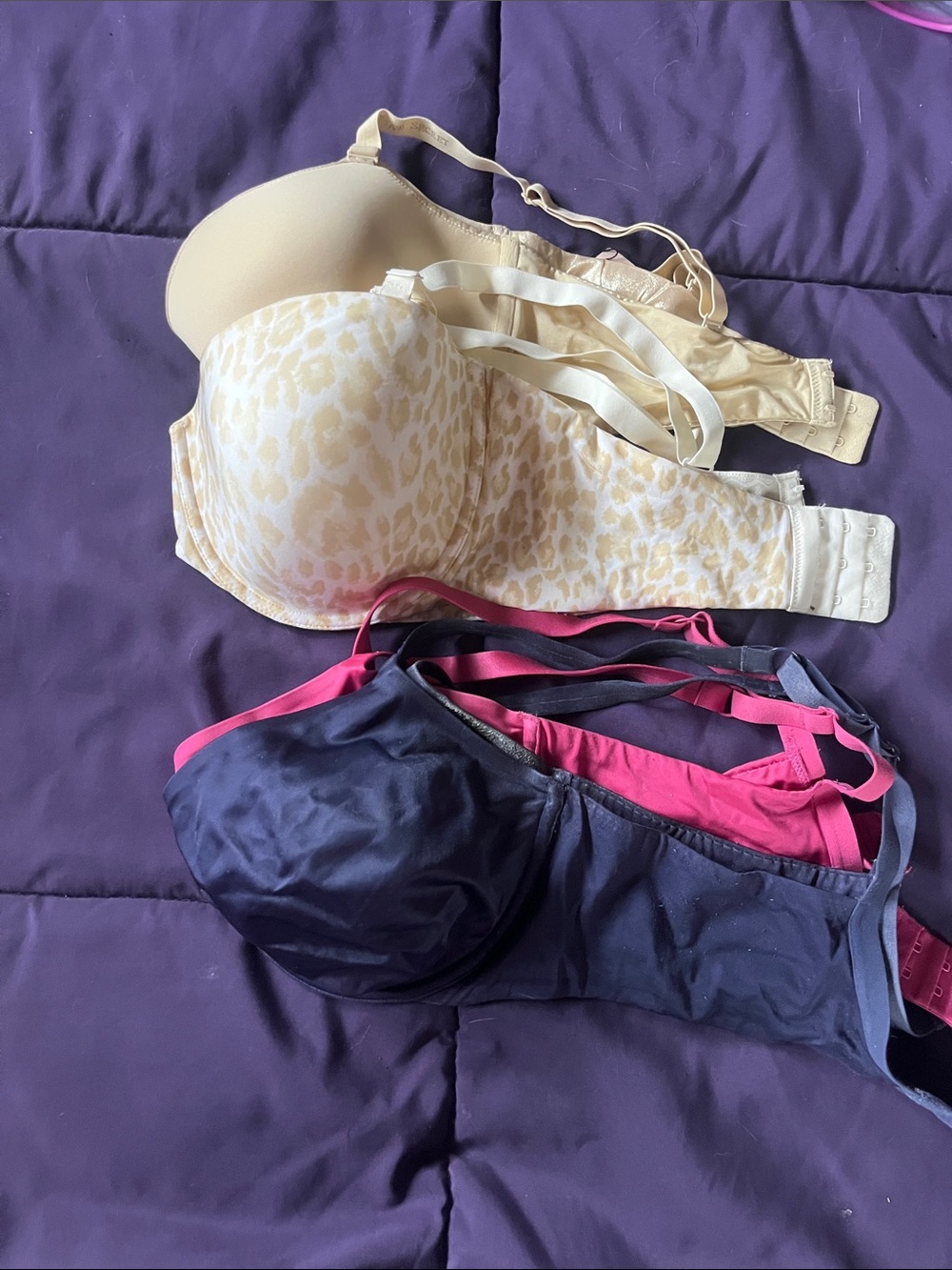 Victoria's Secret Nude Leopard & Navy Bras with Pink Accents